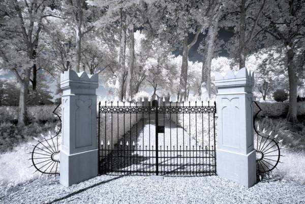 Photograph Gert Van Den Bosch The Gate Infrared on One Eyeland